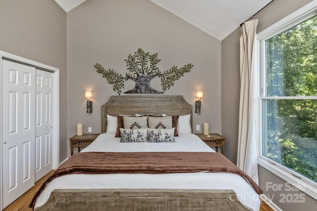 28 Mountain Vista Dr Unit 1 & 2, Asheville, NC 28804 - bedroom with vaulted ceiling, multiple windows, wood finished floors, and a closet