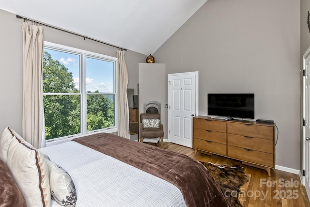 28 Mountain Vista Dr Unit 1 & 2, Asheville, NC 28804 - bedroom featuring wood finished floors, high vaulted ceiling, and baseboards