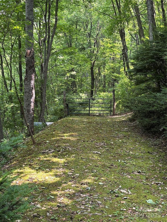 28 Mountain Vista Dr Unit 1 & 2, Asheville, NC 28804 - view of woods