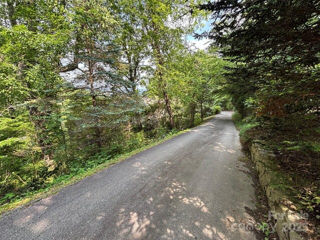 28 Mountain Vista Dr Unit 1 & 2, Asheville, NC 28804 - view of asphalt street featuring a view of trees