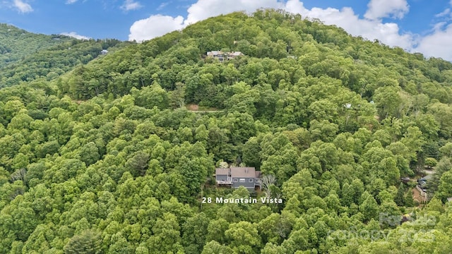 28 Mountain Vista Dr Unit 1 & 2, Asheville, NC 28804 - aerial view of property and surrounding area featuring a heavily wooded area