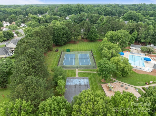 8906 Pickering Grove Ln, Charlotte, NC 28216 - bird's eye view of a pool area and a heavily wooded area