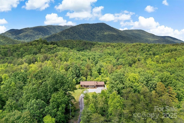7050 W US-70 Hwy, Old Fort, NC 28762 - view of mountain background with a heavily wooded area