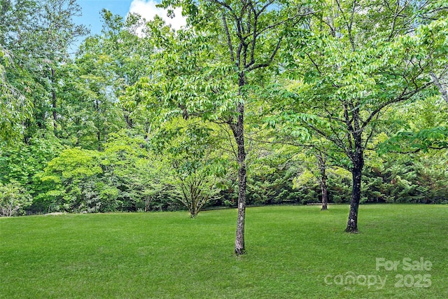 7050 W US-70 Hwy, Old Fort, NC 28762 - view of green lawn with a view of trees