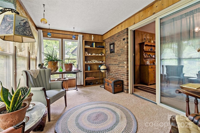 7050 W US-70 Hwy, Old Fort, NC 28762 - sunroom / solarium featuring carpet, wood walls, a textured ceiling, and ornamental molding