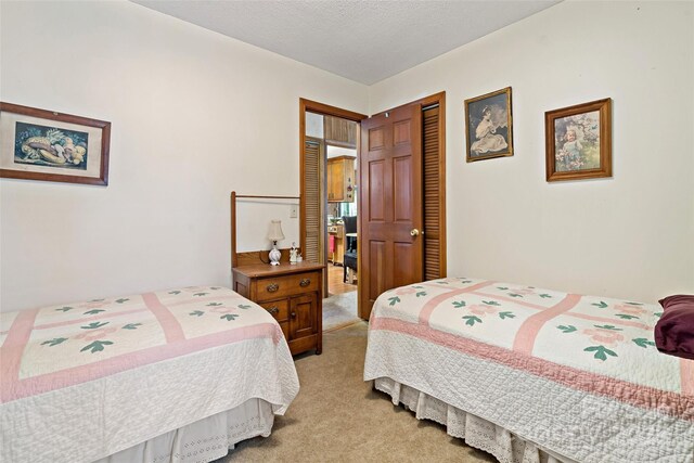 7050 W US-70 Hwy, Old Fort, NC 28762 - bedroom featuring light carpet and a closet