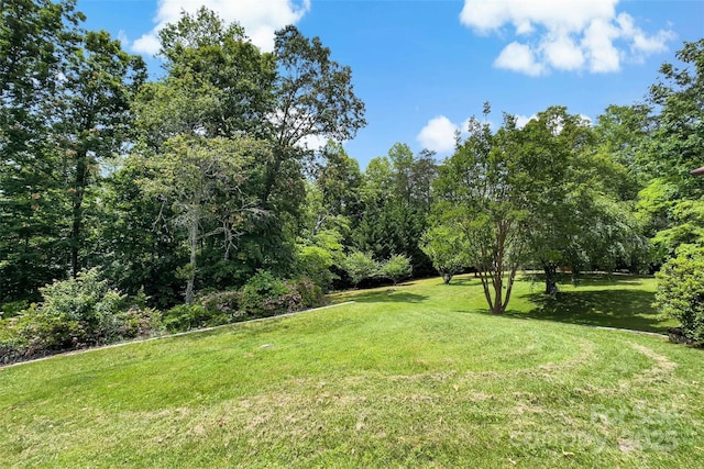 7050 W US-70 Hwy, Old Fort, NC 28762 - view of grassy yard