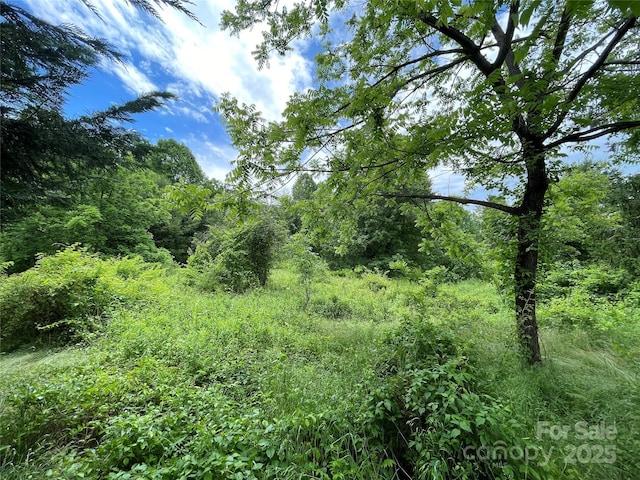150 Founders Dr Unit 159, Flat Rock, NC 28731