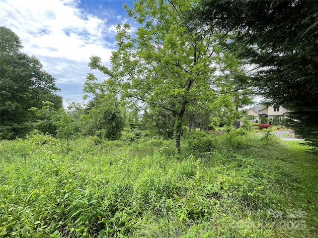150 Founders Dr Unit 159, Flat Rock, NC 28731