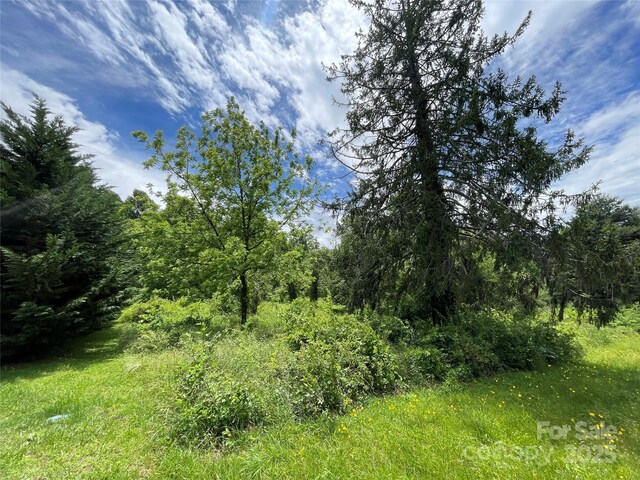 150 Founders Dr Unit 159, Flat Rock, NC 28731