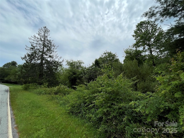 150 Founders Dr Unit 159, Flat Rock, NC 28731