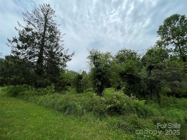 150 Founders Dr Unit 159, Flat Rock, NC 28731