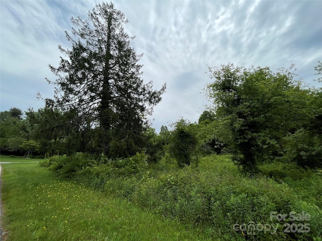 150 Founders Dr Unit 159, Flat Rock, NC 28731