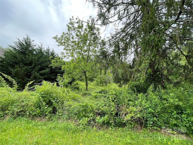 150 Founders Dr Unit 159, Flat Rock, NC 28731