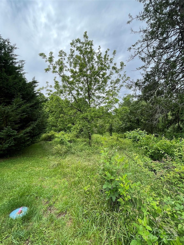 150 Founders Dr Unit 159, Flat Rock, NC 28731