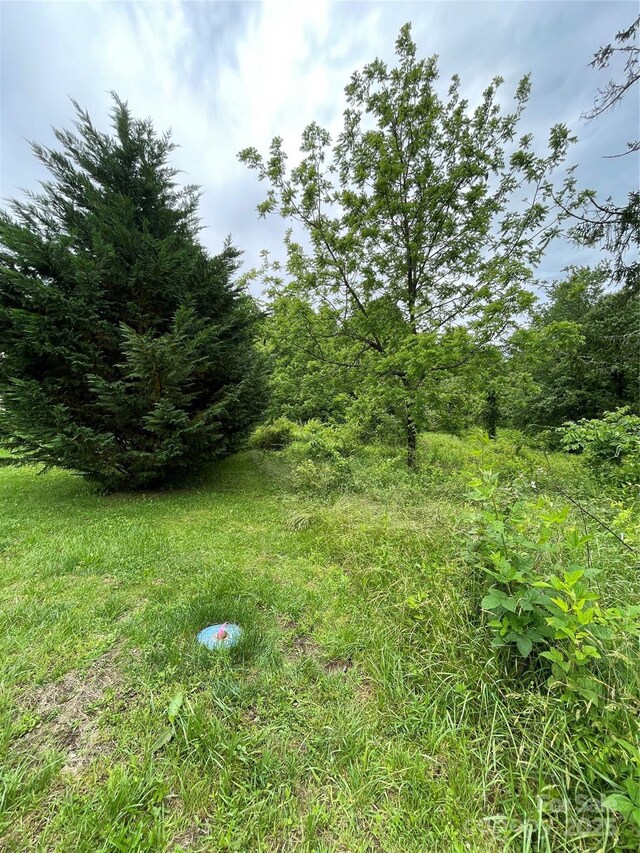 150 Founders Dr Unit 159, Flat Rock, NC 28731