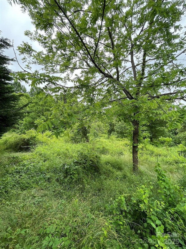 150 Founders Dr Unit 159, Flat Rock, NC 28731