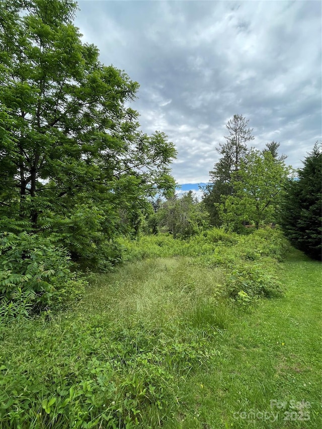 150 Founders Dr Unit 159, Flat Rock, NC 28731