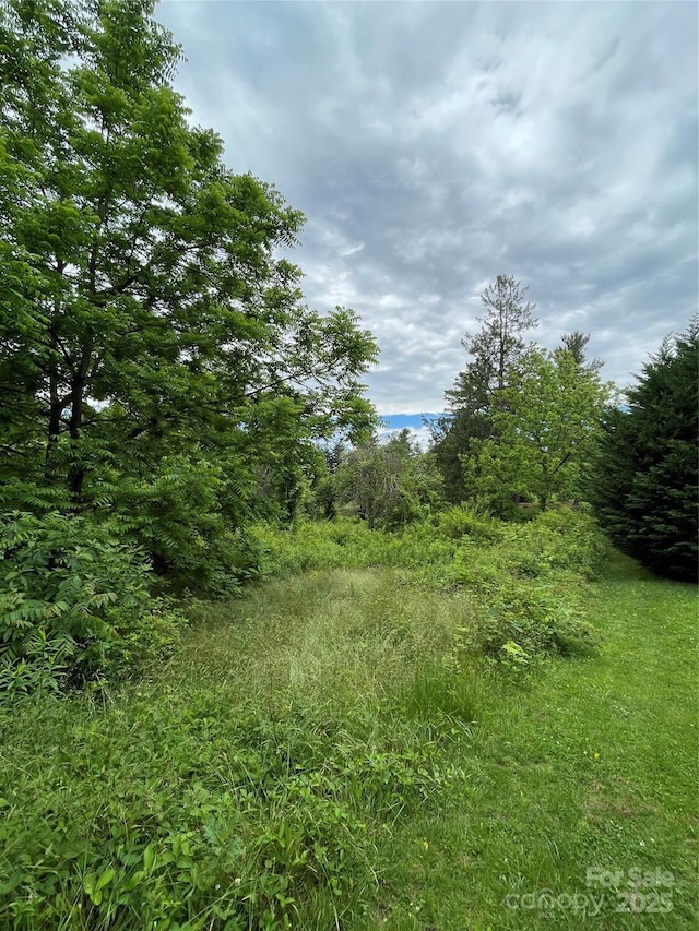 150 Founders Dr Unit 159, Flat Rock, NC 28731