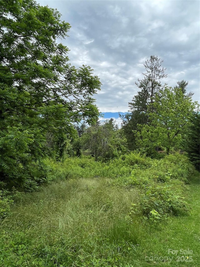 150 Founders Dr Unit 159, Flat Rock, NC 28731