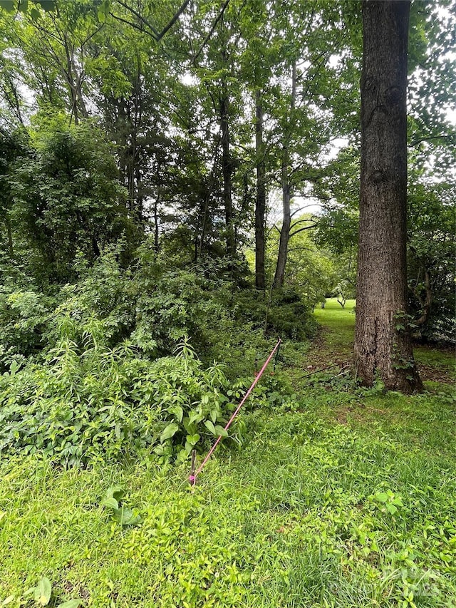 150 Founders Dr Unit 159, Flat Rock, NC 28731