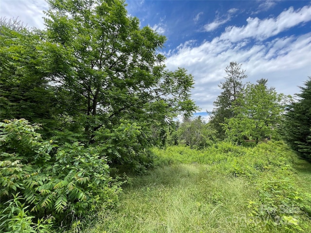 150 Founders Dr Unit 159, Flat Rock, NC 28731
