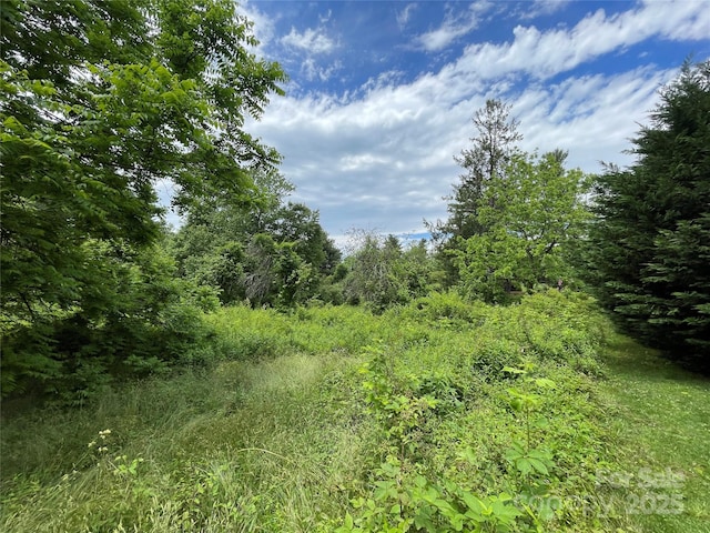 150 Founders Dr Unit 159, Flat Rock, NC 28731