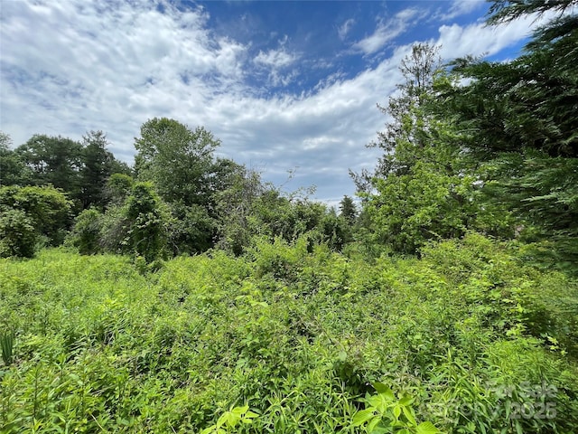 150 Founders Dr Unit 159, Flat Rock, NC 28731