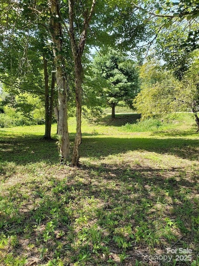 150 Founders Dr Unit 159, Flat Rock, NC 28731