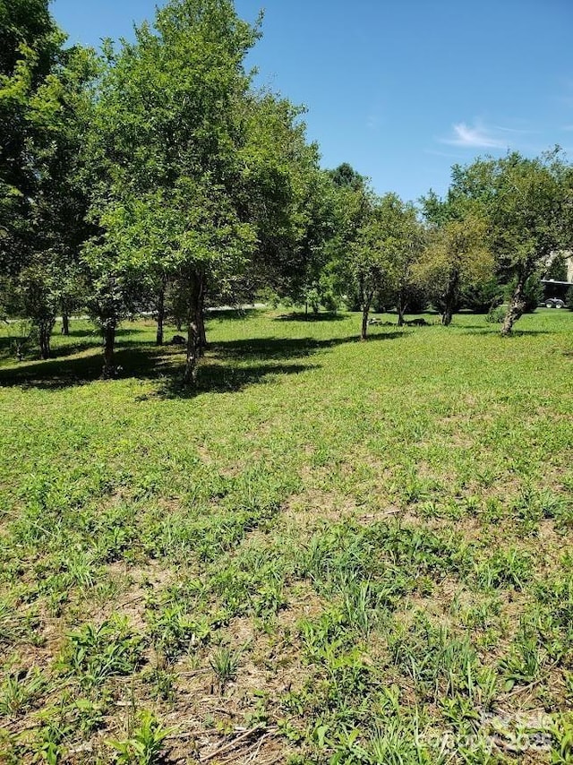 150 Founders Dr Unit 159, Flat Rock, NC 28731