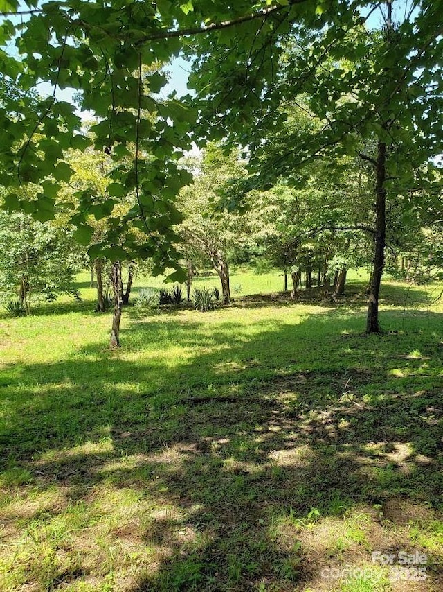 150 Founders Dr Unit 159, Flat Rock, NC 28731