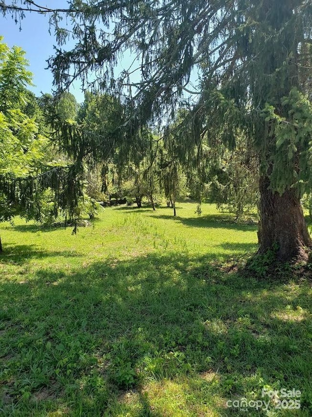 150 Founders Dr Unit 159, Flat Rock, NC 28731