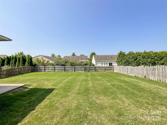 1228 Tranquil Falls Ln, Matthews, NC 28104 - view of yard