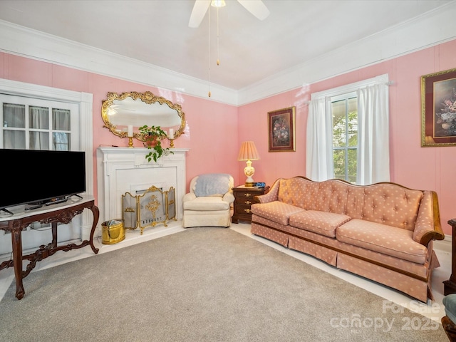 408 S Ellis St, Salisbury, NC 28144 - living area with carpet flooring, crown molding, and ceiling fan