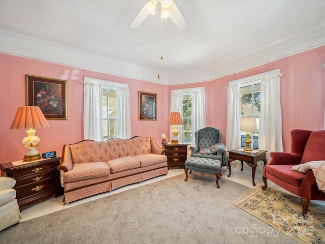 408 S Ellis St, Salisbury, NC 28144 - living area featuring carpet flooring, a ceiling fan, and ornamental molding