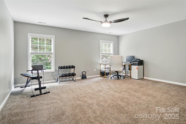 1522 Napa St NW, Concord, NC 28027 - home office featuring carpet floors, ceiling fan, and baseboards