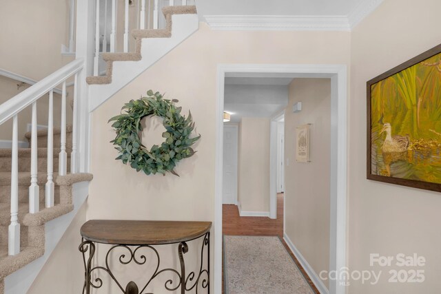 9423 Wood Ridge Dr, Charlotte, NC 28277 - photo 5