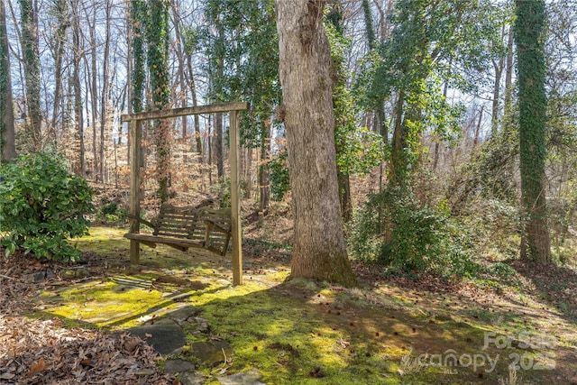 3615 Maple Glenn Ln, Charlotte, NC 28226 - view of yard