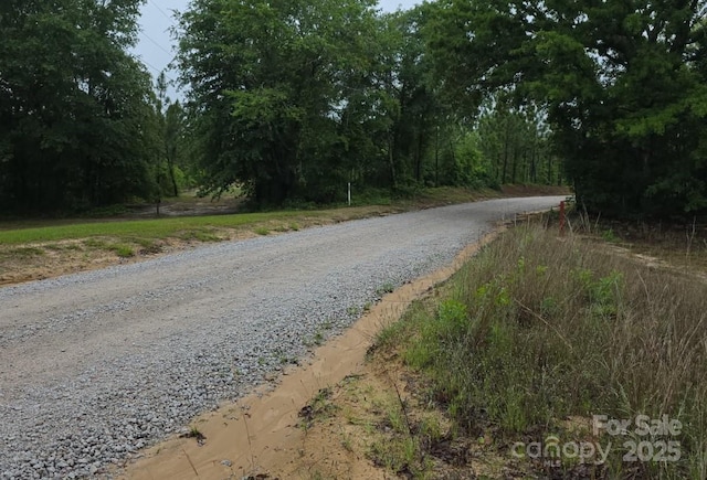 294 Eason Rd, Mount Croghan, SC 29727 - photo 4