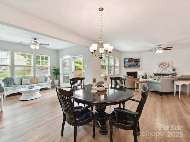200 Sweet Briar Dr, Fort Mill, SC 29707 - dining space featuring a ceiling fan, light wood finished floors, and a lit fireplace