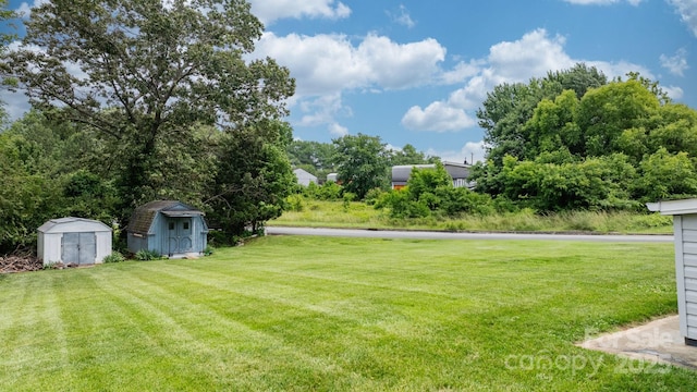 1266 18th St NE, Hickory, NC 28601 - view of green lawn