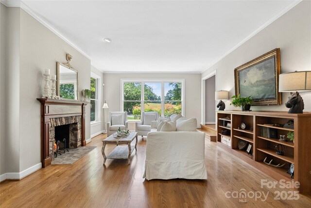 310 Southwood Ln, Columbus, NC 28722 - living area featuring crown molding, wood finished floors, and a premium fireplace