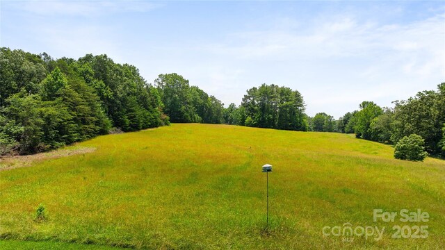 310 Southwood Ln, Columbus, NC 28722 - view of yard with a forest view