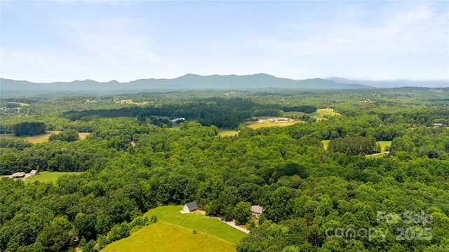 310 Southwood Ln, Columbus, NC 28722 - bird's eye view of a forest