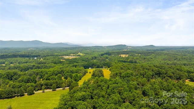 310 Southwood Ln, Columbus, NC 28722 - drone / aerial view of a forest and mountains