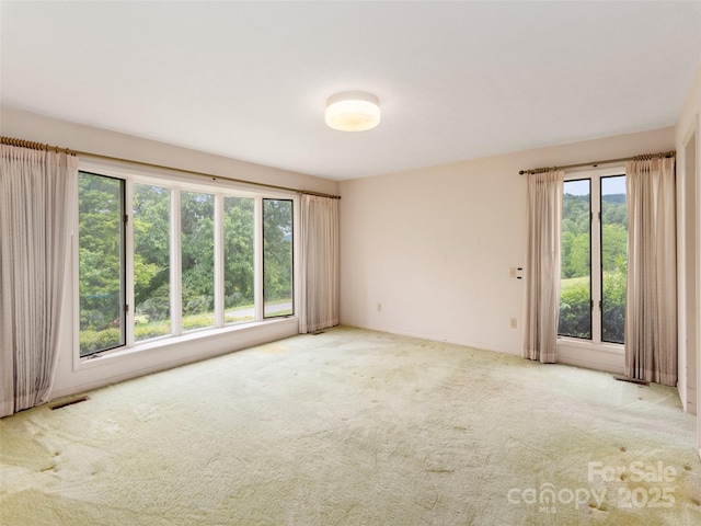 202 Terrell Rd, Clyde, NC 28721 - spare room with carpet floors
