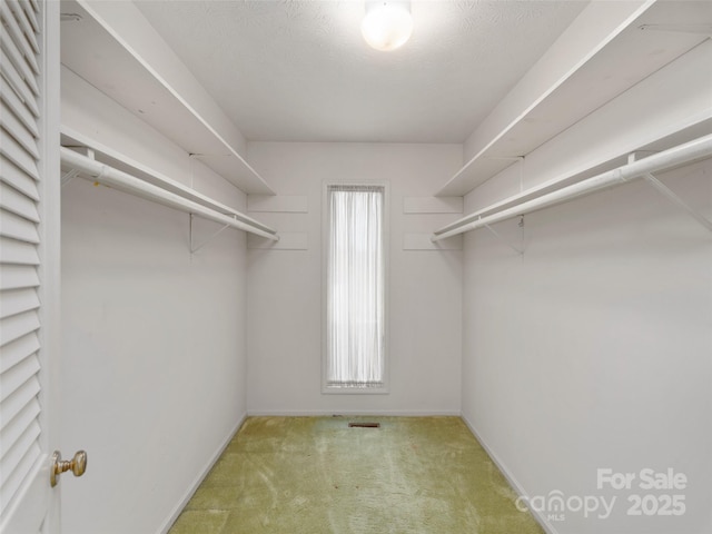 202 Terrell Rd, Clyde, NC 28721 - spacious closet featuring carpet floors