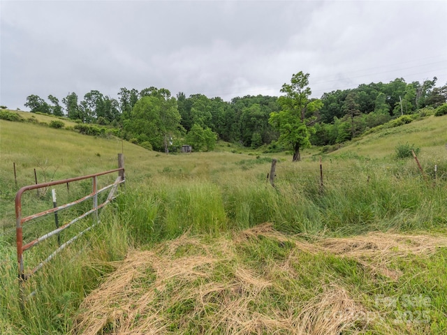 202 Terrell Rd, Clyde, NC 28721 - view of undeveloped land with rural landscape