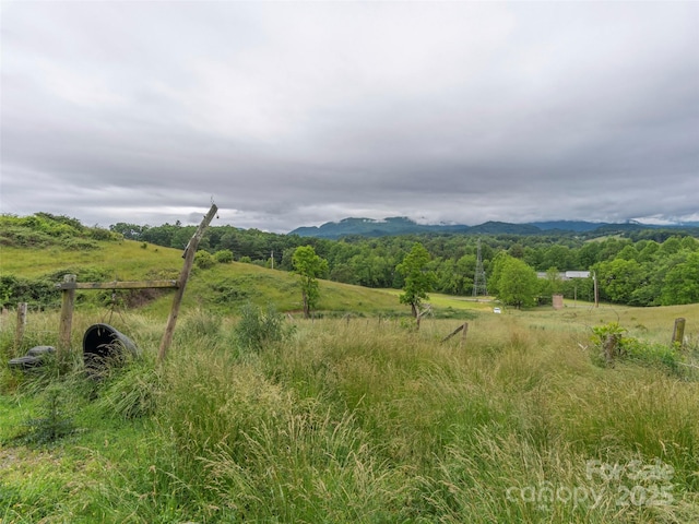 202 Terrell Rd, Clyde, NC 28721 - view of mountain backdrop featuring rural landscape