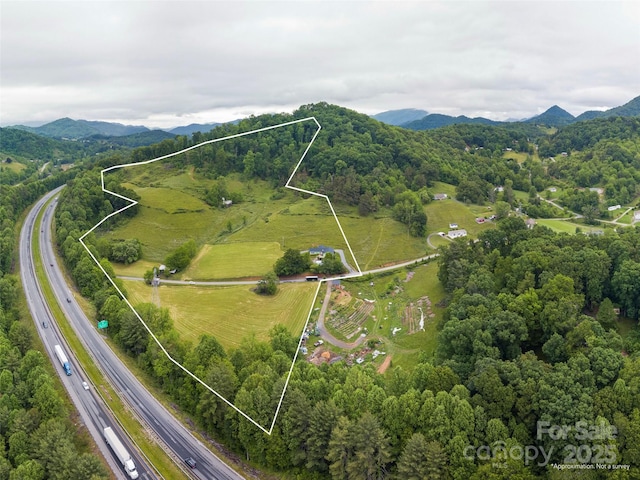 202 Terrell Rd, Clyde, NC 28721 - view of property location with a main thoroughfare, property parcel outlined, and mountains